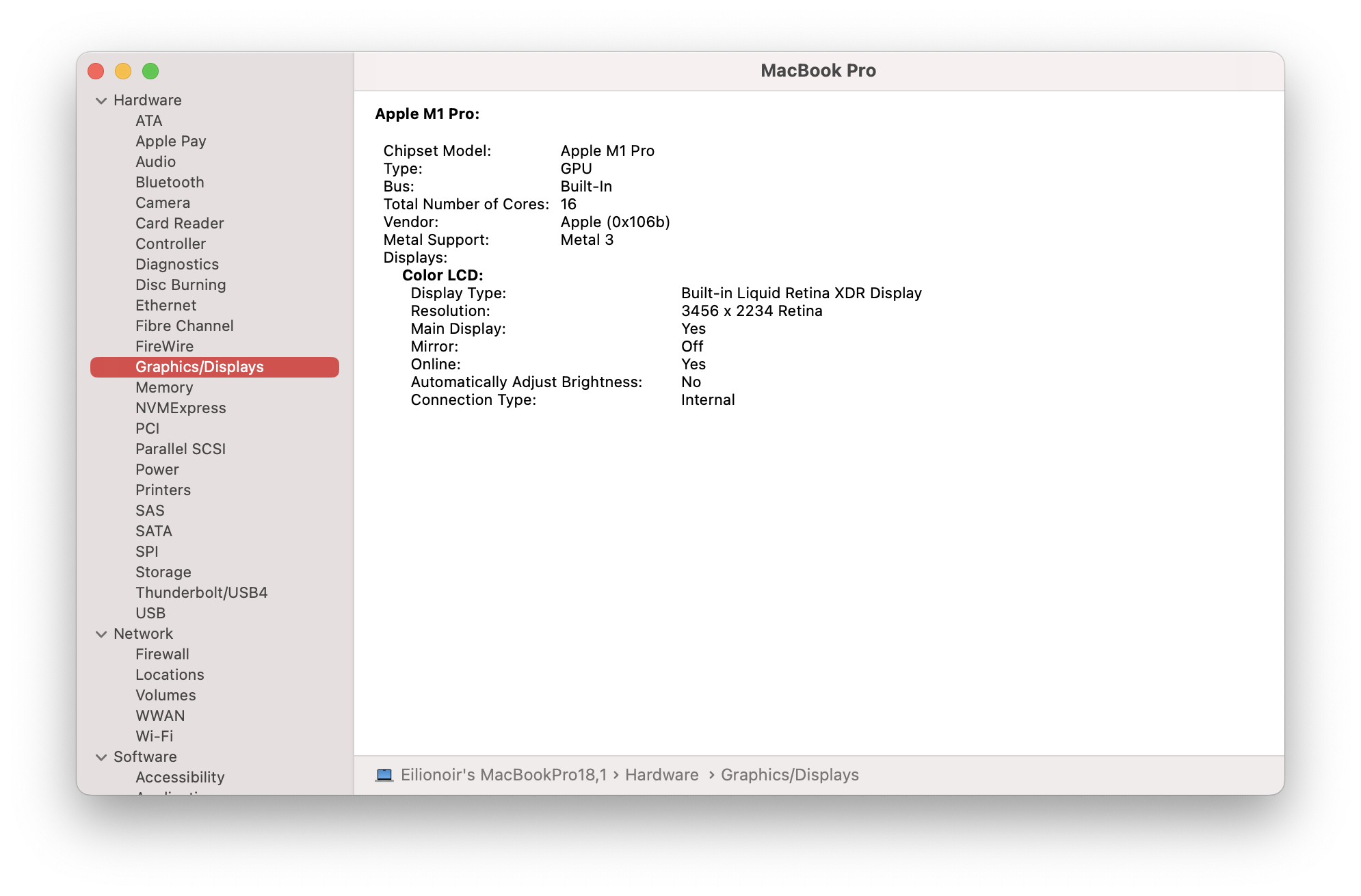 My 2021 MacBook Pro 16" showing off its beauty in System Profiler.